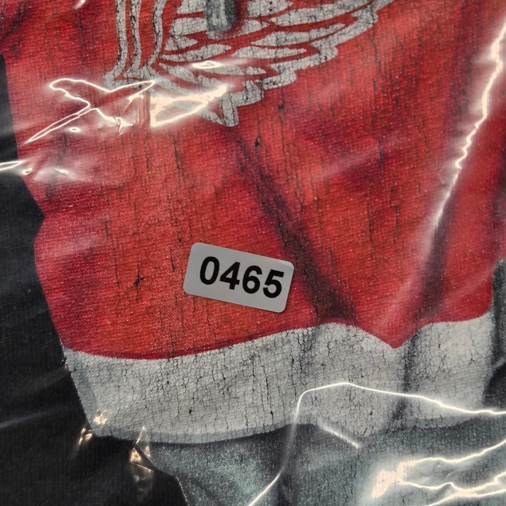 Gildan Heavy Cotton Detroit Red Wing Teddy Bear Streetwear Graphic T Shirt Black - Picture 8 of 8